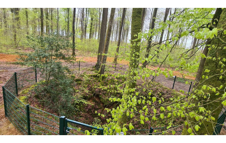 Inauguration du Puits Merveilleux en forêt d'Eawy