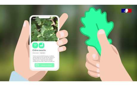 Clés de Forêt, l'application de l'ONF